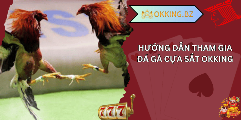 đá gà cựa sắt okking 02
